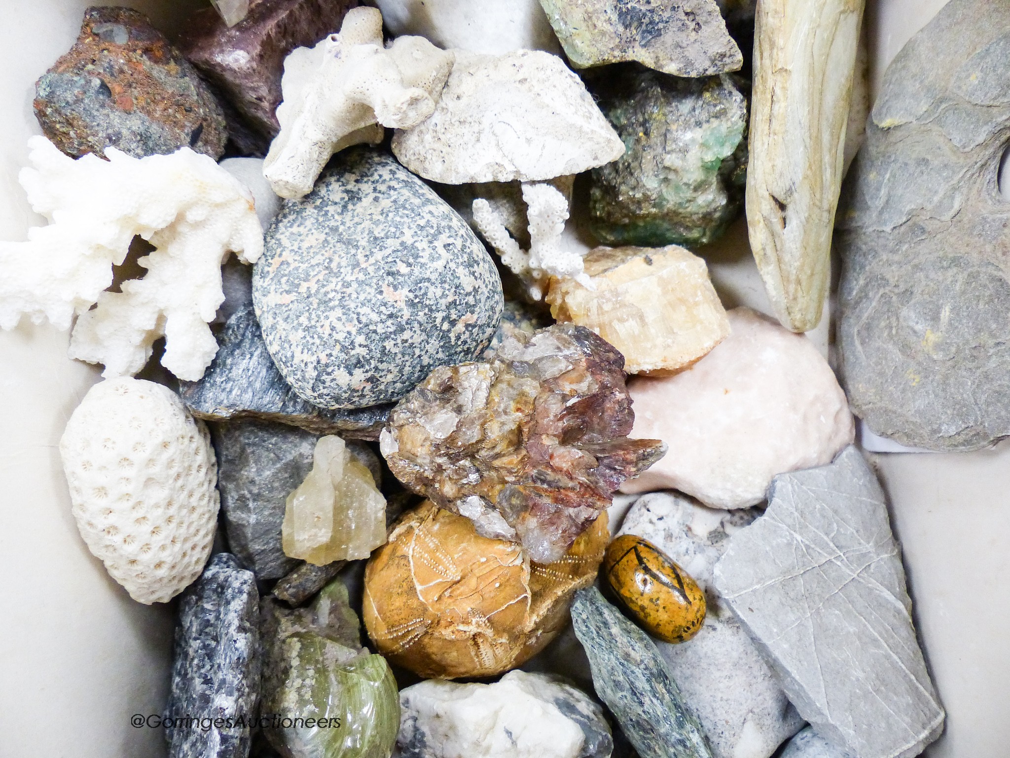 A collection of minerals etc. In two boxes